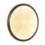 Neptune Sconce-1880334964
