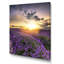 Lavande champ coucher de soleil paysage - art mural traditionnel sur toile-1135026003-1135026011