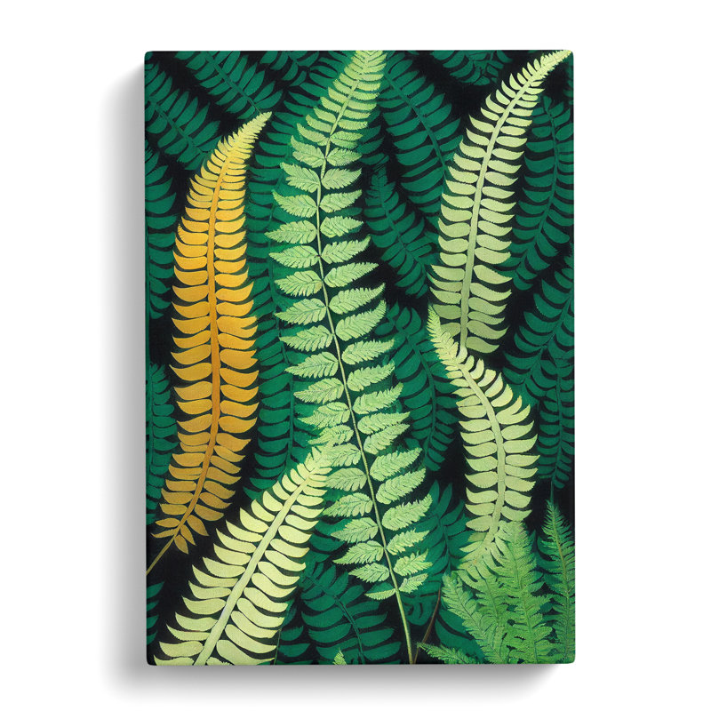 Seegmiller Fern Leaf Layers Vol.4 - Wrapped Canvas Print, 50cm H x 35cm W x 3cm D