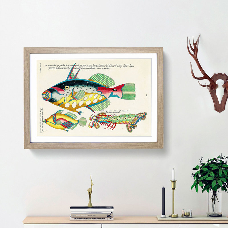 East Indies Fish Illustrations XXVIII by Louis Renard - Picture Frame Graphic Art Print, 27cm H x 36cm W x 2cm D, Oak Framed
