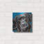 «Furry Dog Friend 2» par Carolee Vitaletti-57243728