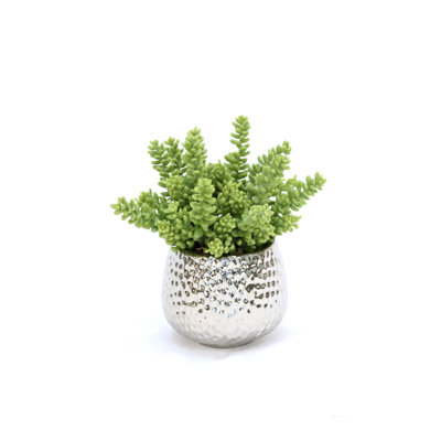 8'' Faux Succulent in Porcelain Pot