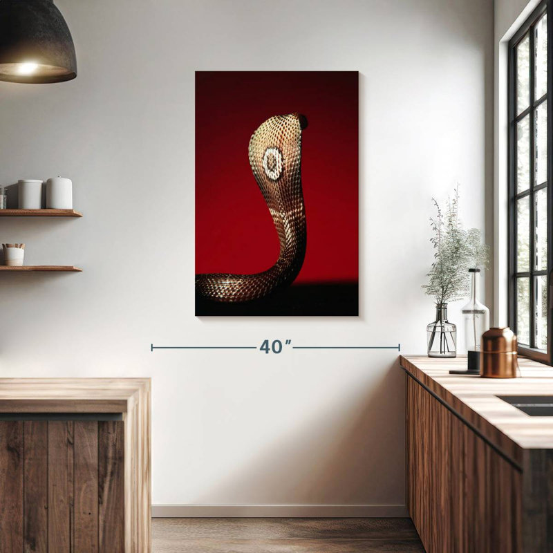 Brampt Cobra, 39" H x 26" W