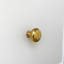 Eloise Unlacquered Brass 1 1/4" Round Knob