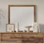 Scheider Miroir Dreser