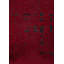 Rapture Abstract Area Rug-627272445
