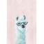 Posh Llama II - Wrapped Canvas Painting-34927227