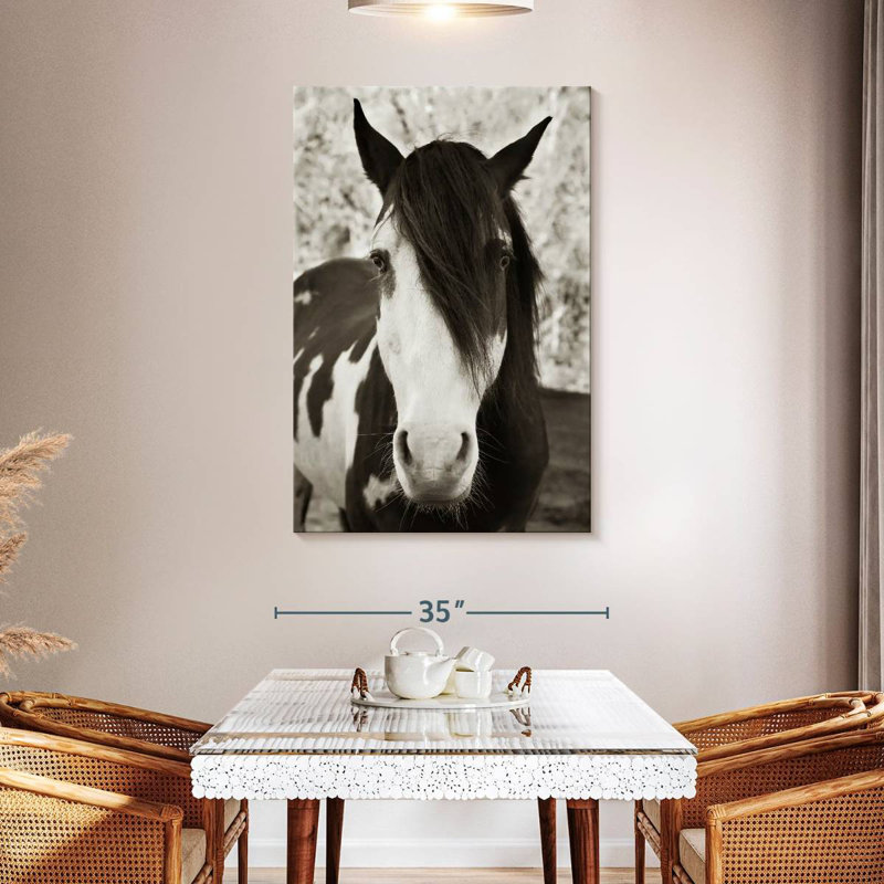 Brampt Pale Eyed Stallion, 48" H x 32" W