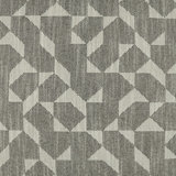 Explorer Fabric