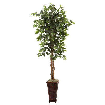 Gemma 78 " H Faux Ficus Tree