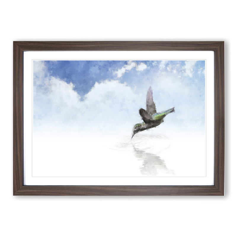 Hummingbird Vol.1 - Picture Frame Graphic Art, Walnut Framed, 48cm H x 65cm W x 2cm D