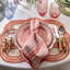 Cabana Stripe Napkins-172617143