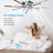 Hanke 35.43" 7 - Blade Reversible LED Dimmable Ceiling Fan With Light And Remote
