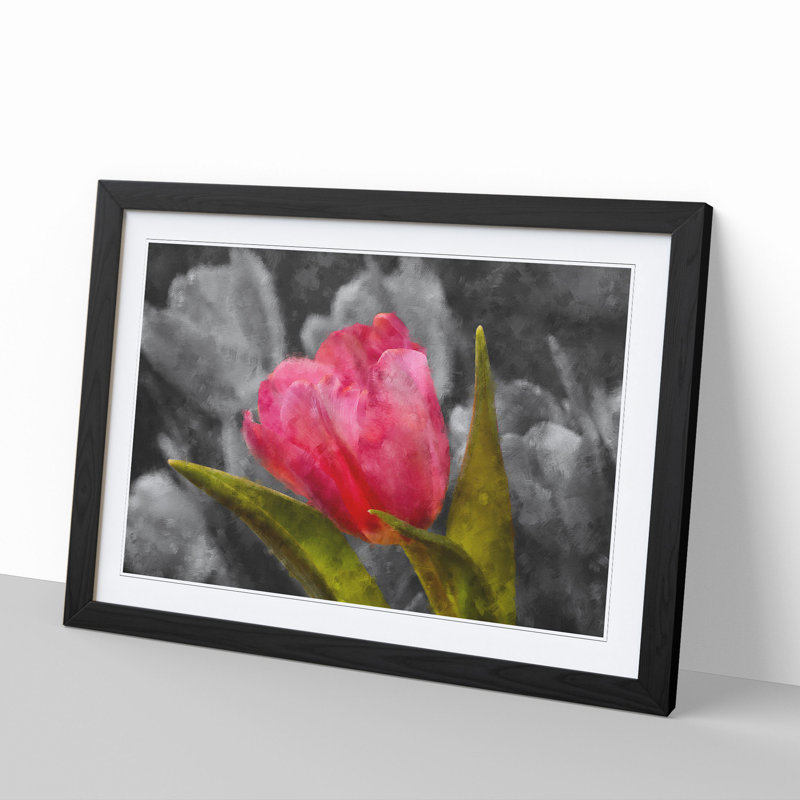 Pink Tulip Flower - Framed Print, 48cm H x 65cm W x 2cm D, Black Framed