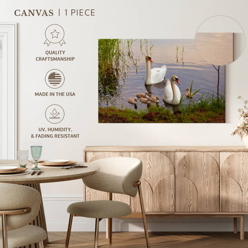Arney Swans And Cygnets