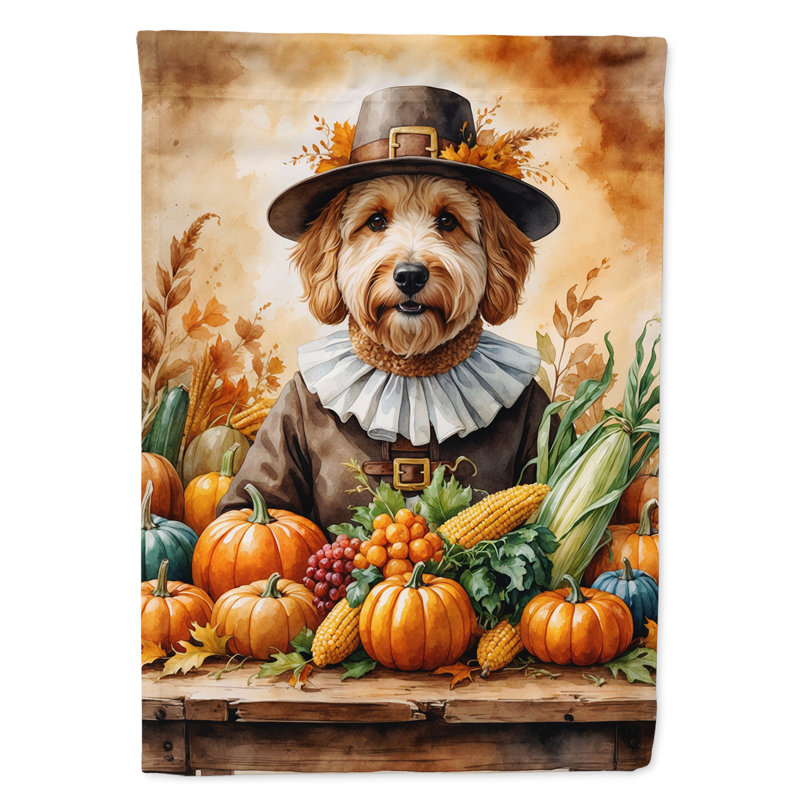 Drapeau de l'Action de grâce, Goldendoodle