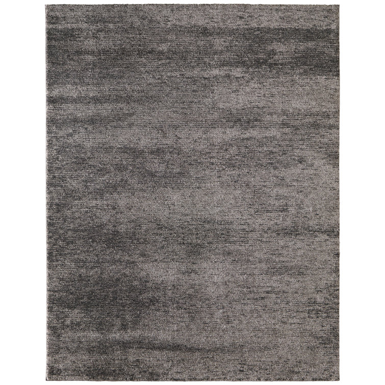 Clair Modern Distressed Area Rug