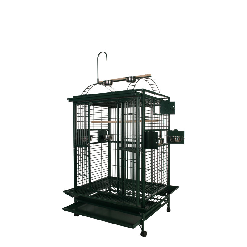 36x28 Platinum Play Top Cage by A&E, Platinum