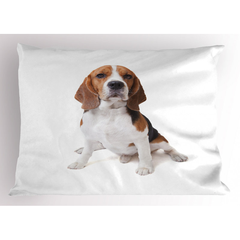 Eagle Polyester Sham Set, Queen