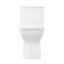 Carre One-Piece Square Toilet Dual-Flush 1.1/1.6 gpf-63681520