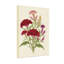 Arrangement floral de plantes et de fleurs avec des fleurs rouges et mauves-1335730927