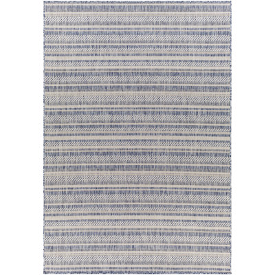 Striped Blue/Charcoal Indoor/Outdoor Area Rug