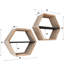 Octavian 2 Piece Hexagon Floating Shelf