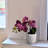 Mini Orchid Flower In Ceramic Pots