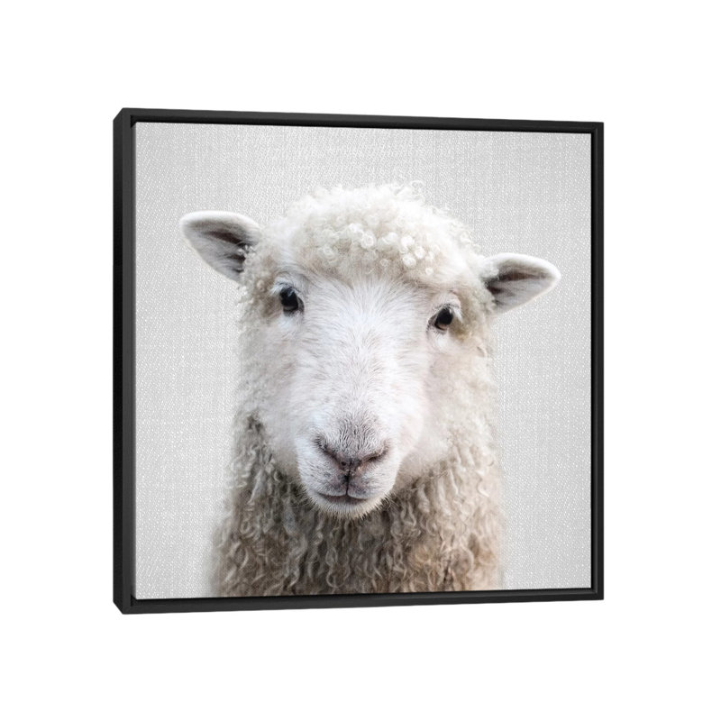 «Sheep» - reproduction de photo, H 12 po x l 12 po x P 1,5 po, Toile avec cadre noir