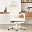 Chaise de bureau ergonomique en filet à haut dossier avec repose-pieds et appui-tête / soutien lombaire réglable - inclinaison de 135 °, capacité de 350 lb, pour le bureau à domicile / la salle d'étude / la chambre à coucher-1067269301