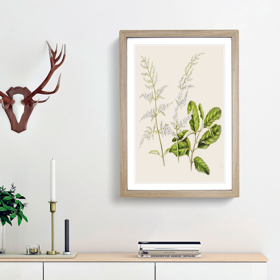 Lilac Flowers by Sarah Featon - Framed Print