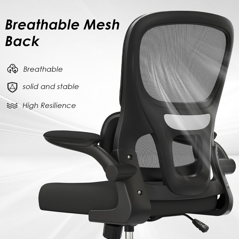 Ergonomic Home Office Mesh Task Chair Computer Chair, Black, Black