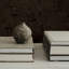 Papier peint peler et coller Modern Burl par Jeremiah Brent