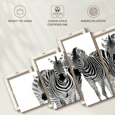 Brampt Zebras On The Move