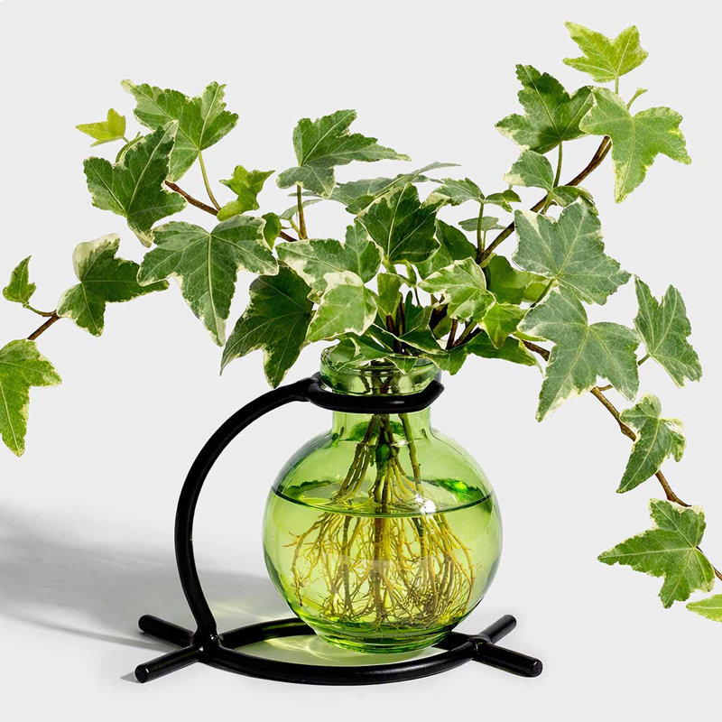 Berryville Bud Table Vase - Lime, Lime Green