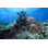 «Fiji Underwater» par Andrewjalbert - reproduction d'art sur toile tendue