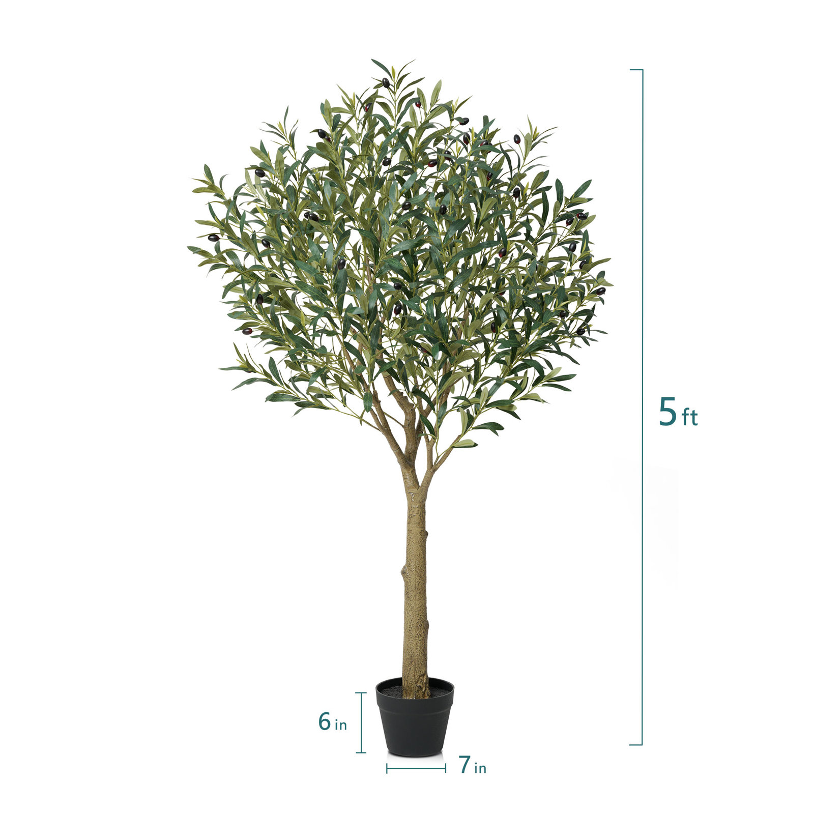 George Olive Tree in Pot, 60" H x 20" W x 20" D