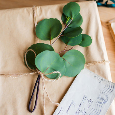 Ensemble de branches d'eucalyptus artificiel