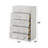 Esther White & Silver High Gloss Chest