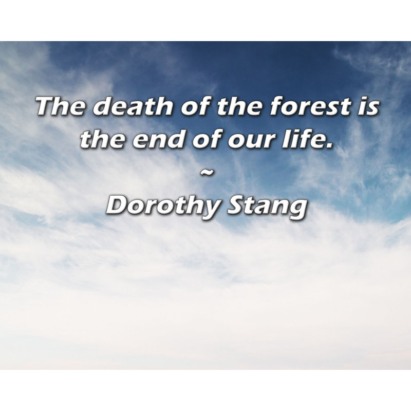 «Artsy Quote» par Dorothy Stang, toile tendue avec châssis, H 28 po x l 40 po