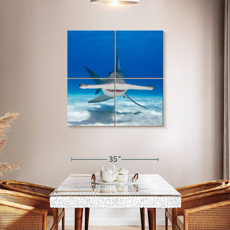 Brampt Hammerhead Shark Swimming