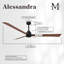 Ventilateur de plafond Alessandra 72-63956783-9636507