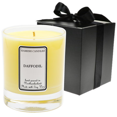 Daffodil Scented Jar Candle with Glass Holder