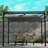 Pergola en acier l 10 pi x P 10 pi
