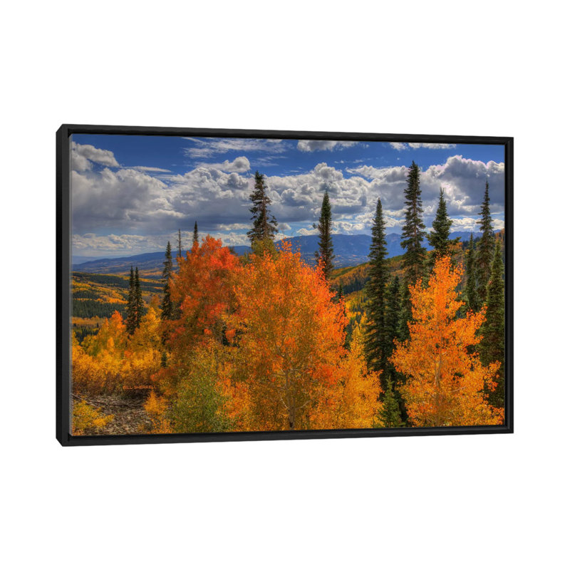 «Autumn Fire At Ohio Pass» par Bill Sherrell, impression sur toile tendue, H 18 po x l 26 po x P 1,5 po, Pas de tapis