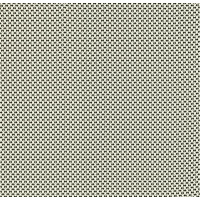 Schumacher x David Oliver Domino Fabric