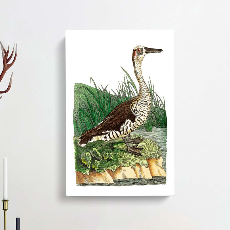 Fasciated Duck by George Shaw - Wrapped Canvas Painting, 50cm H x 35cm W x 3cm D