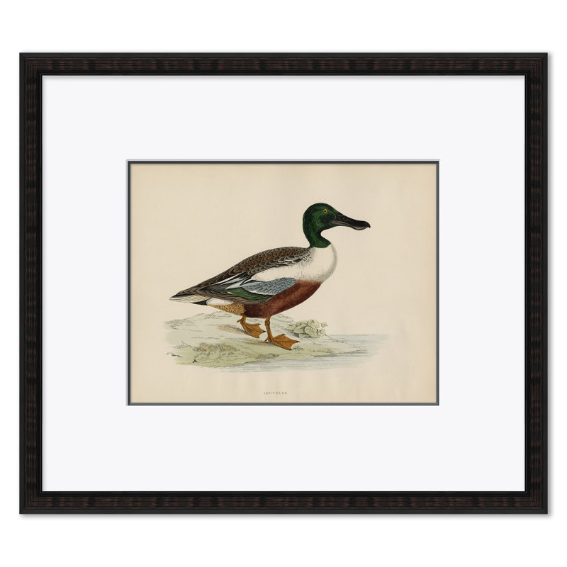 Duck Series Giclee Print by Paul Cezanne
