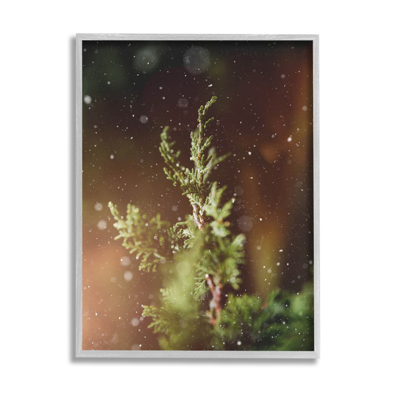 Hiver neige tombée nuit pin à-261, H 30 po x l 24 po x P 1,5 po, Estampe numérique Farmhouse