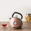 SQ Professional Epoque 1.8 L Stainless Steel Whistling Electric Tea Kettle-49514355